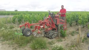ecocep_chenillard