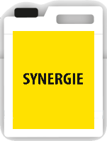 SYNERGIE