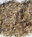 Amendement – Paillage de Miscanthus