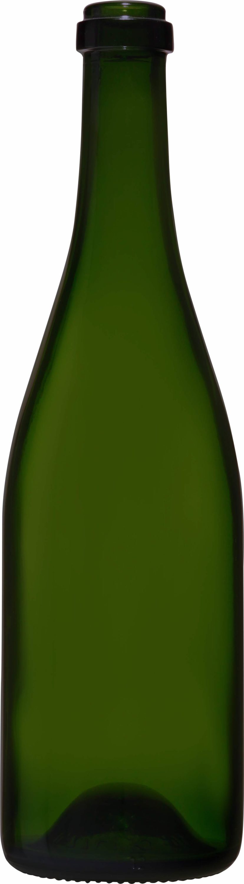 03. CHAMPENOISE BAGUE CARRÉE 75CL
