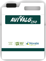 Avivalg250