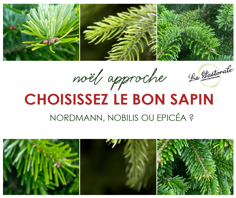 545fesdPlan de travail 1