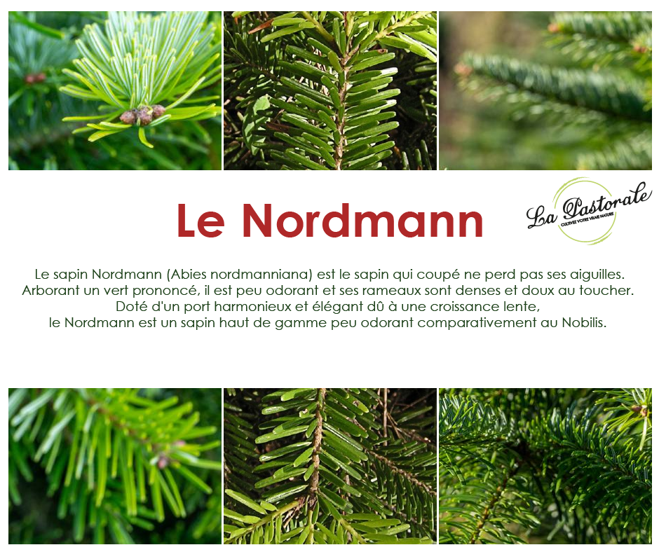 545fesdPlan de travail 2