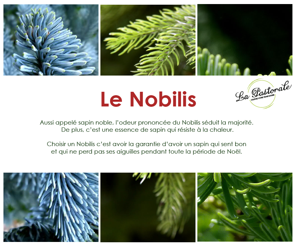 545fesdPlan de travail 3